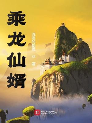 乘龙仙婿乘龙仙婿
